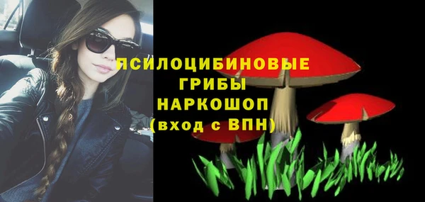 эйфоретик Алзамай