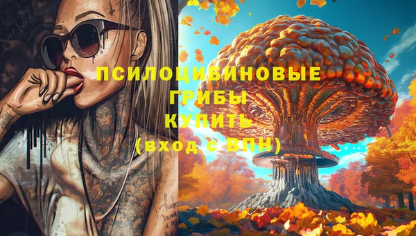 эйфоретик Алзамай