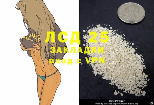 эйфоретик Алзамай