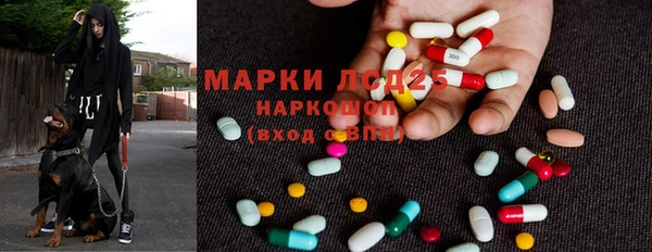 мдпв Тавда