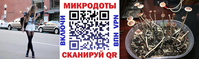 Галлюциногенные грибы Magic Shrooms  Беслан 