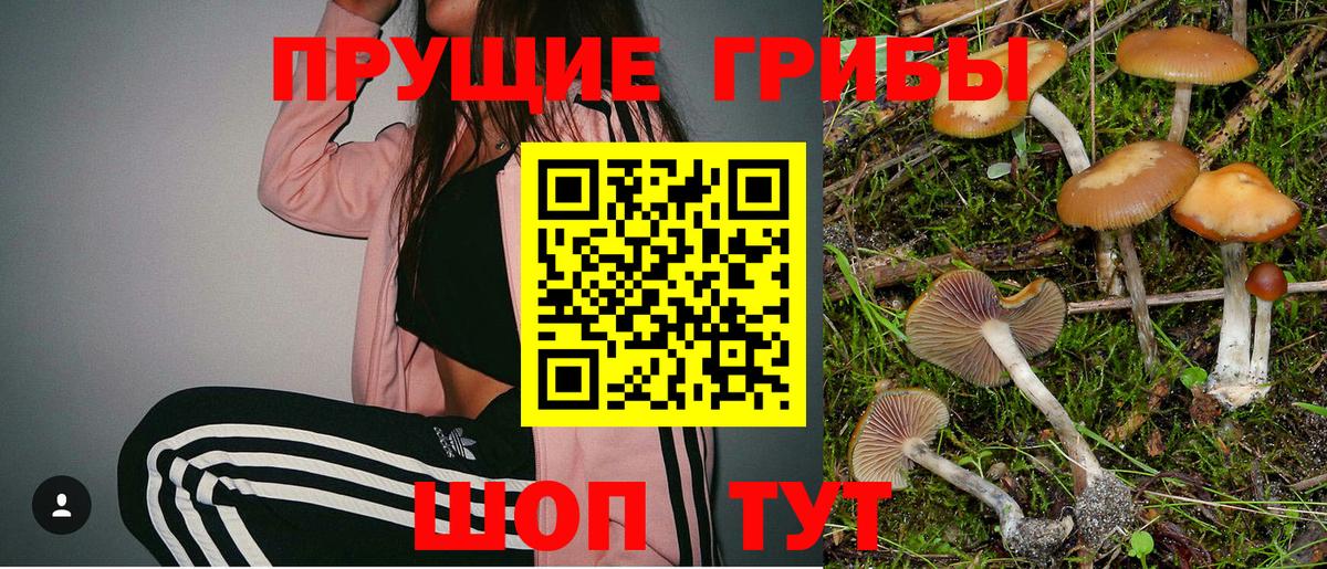Галлюциногенные грибы Беслан