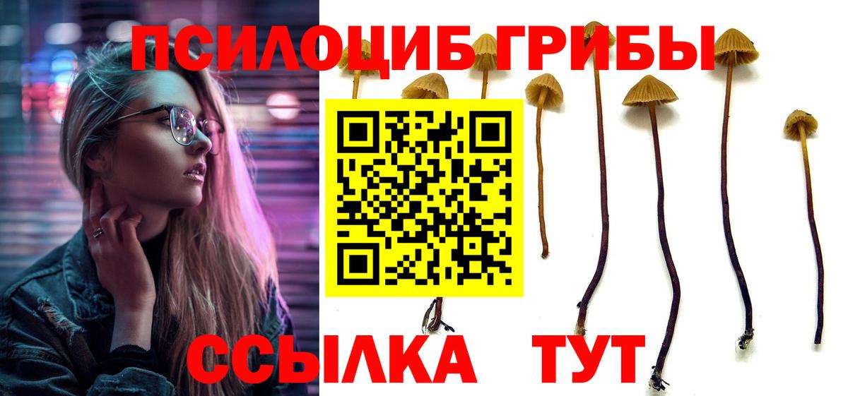 Псилоцибиновые грибы MAGIC MUSHROOMS Беслан