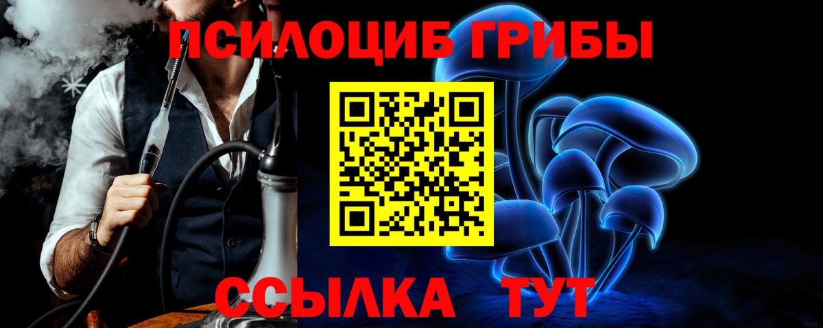 Беслан  закладки  Вход с VPN  Галлюциногенные грибы GOLDEN TEACHER 