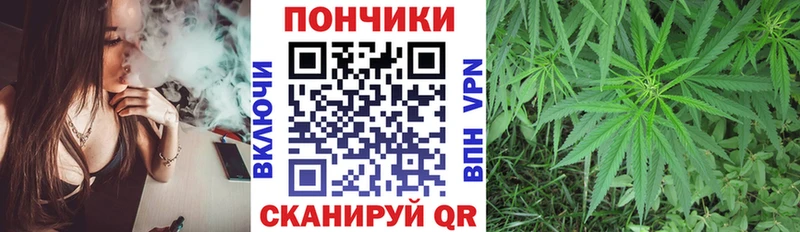 наркотики  Беслан  Бошки Шишки сатива 